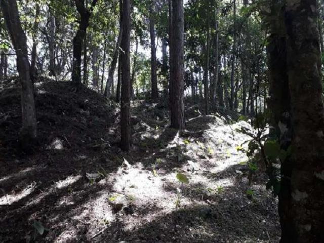Se vende excelente lote altos de maría, el encanto