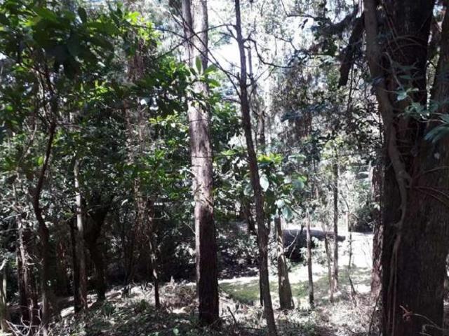 Se vende excelente lote altos de maría, el encanto