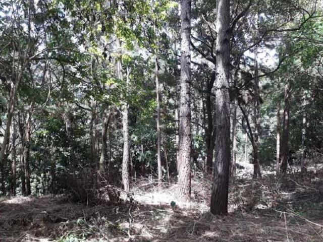 Se vende excelente lote altos de maría, el encanto