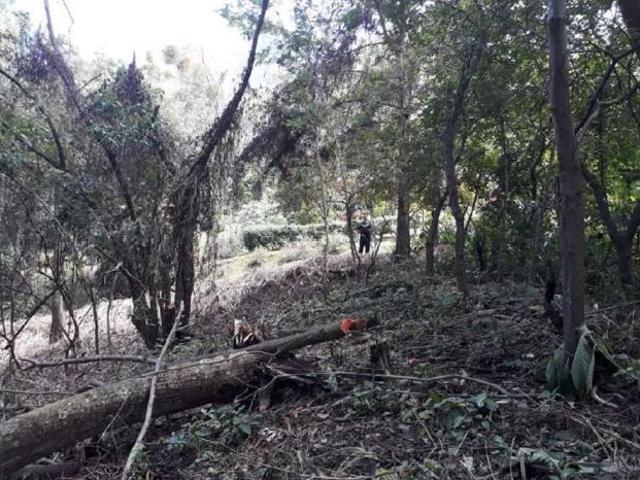 Se vende excelente lote altos de maría, el encanto