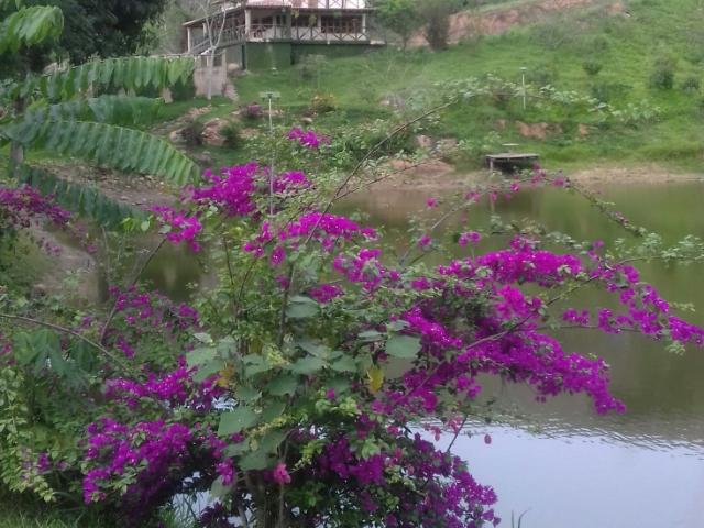 Finca en venta en Valencia