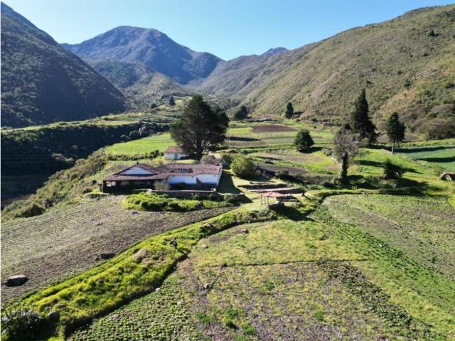 Finca en venta en Suarez, Mérida