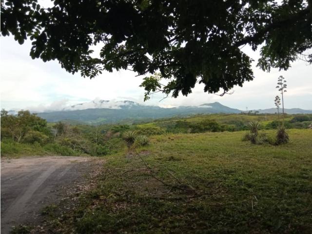 Finca en venta en Valencia