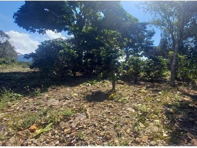 Terreno venta en Chiriquí, David
