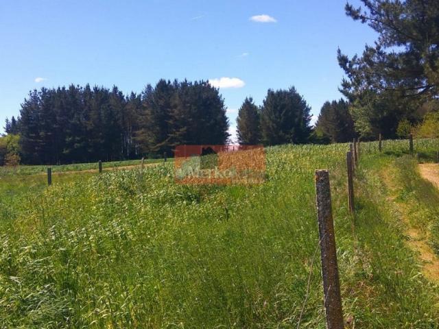 Terreno en venta en Lugo, Viador