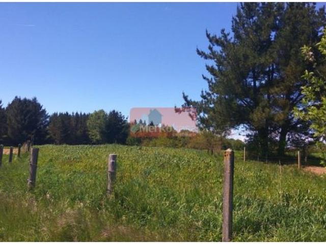 Local Comercial en venta en Coeo, Lugo