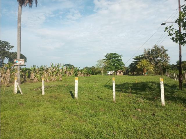 Finca en venta en San Nicolas, Portuguesa