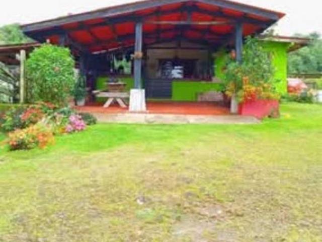 SE VENDE FINCA DE 10 HECTARIAS CON CABAÑA EN CHIRIQUI, VOLCAN BARU