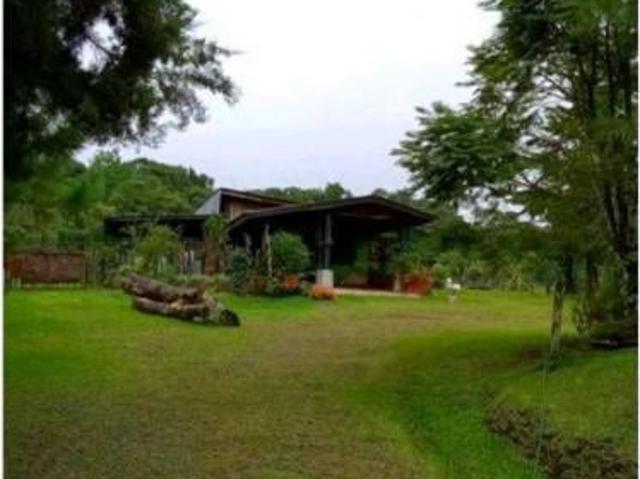 SE VENDE FINCA DE 10 HECTARIAS CON CABAÑA EN CHIRIQUI, VOLCAN BARU
