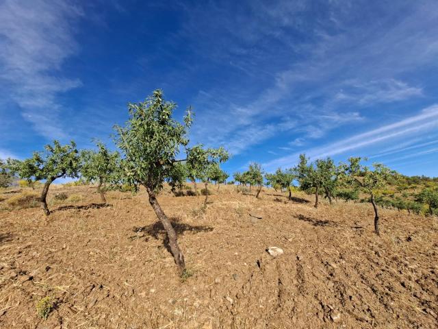 Terreno en venta en Abrucena, Andalucía