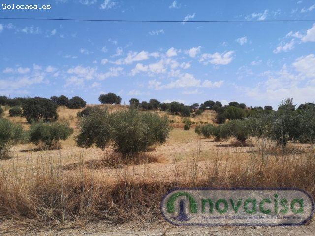 Local Comercial en venta en Almorox, Castilla-La Mancha