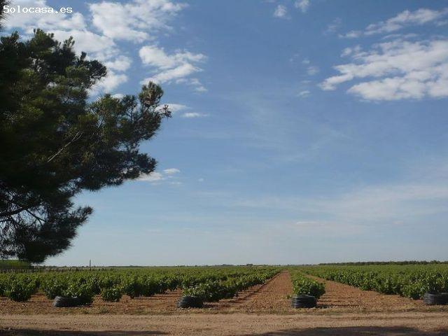 Local Comercial en venta en Socuéllamos, Ciudad Real