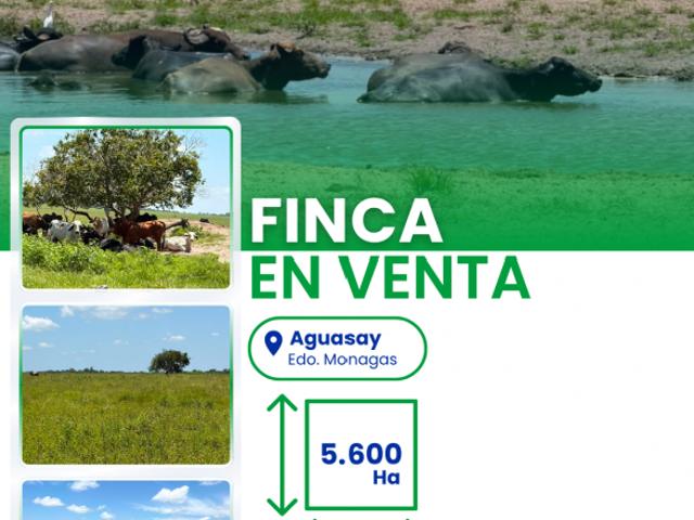 Finca en venta en Maturin, Monagas