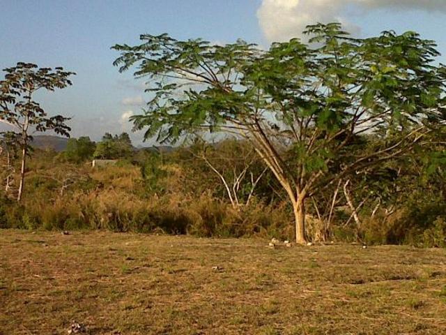 Se vende finca en Antón de 22.2 hectáreas