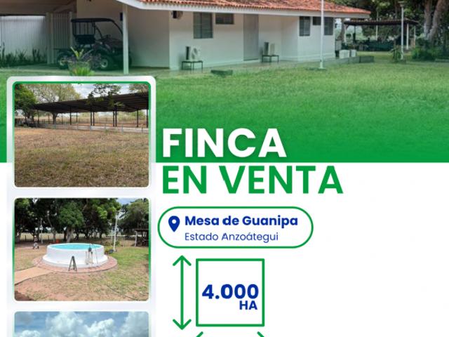 Finca en venta en Amazonas