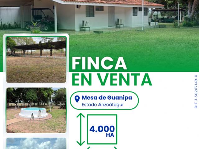 Finca en venta en Municipio Aragua, Anzoátegui