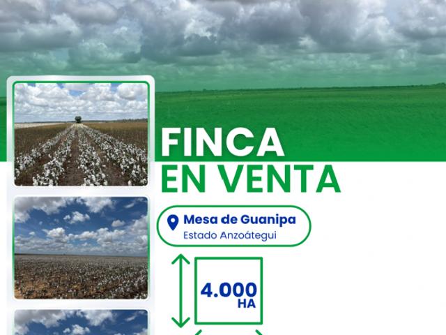 Finca en venta en Amazonas