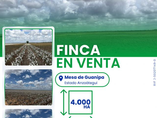 Finca en venta en Municipio Aragua, Anzoátegui
