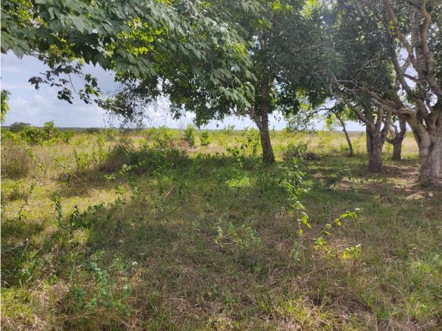 Finca en venta en Maturin, Monagas