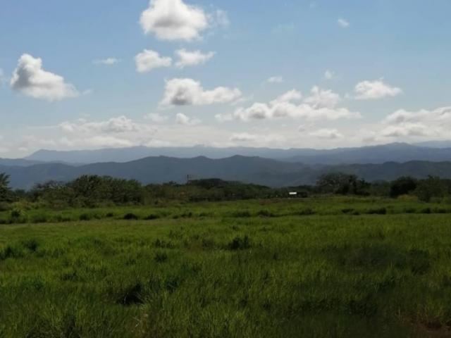 Finca en venta en Chivacoa, Yaracuy