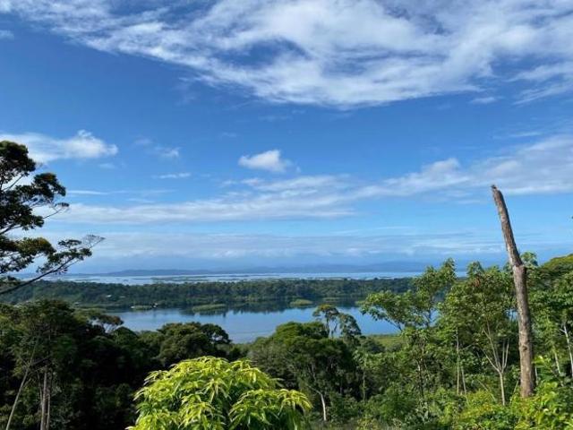 Se vende finca en bahía honda, bocas del toro