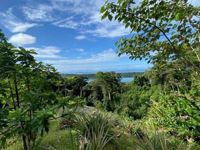 Se vende finca en bahía honda, bocas del toro