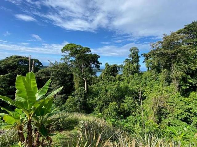 Se vende finca en bahía honda, bocas del toro