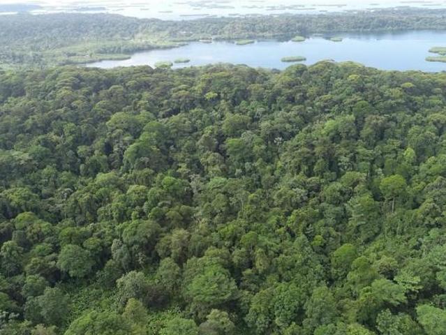 Se vende finca en bahía honda, bocas del toro