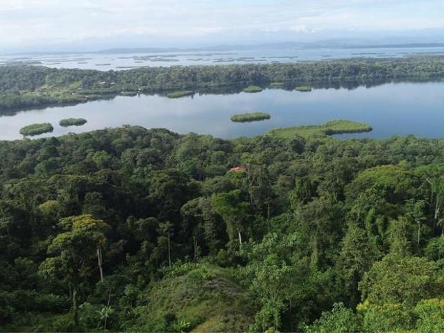 Se vende finca en bahía honda, bocas del toro