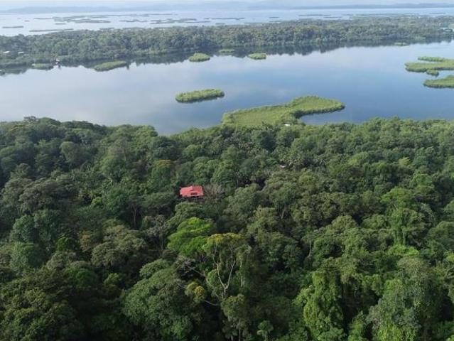 Se vende finca en bahía honda, bocas del toro