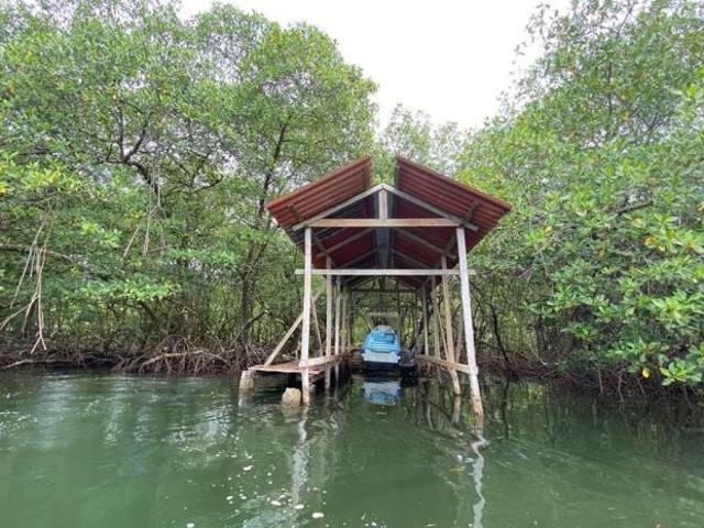 Se vende finca en bahía honda, bocas del toro