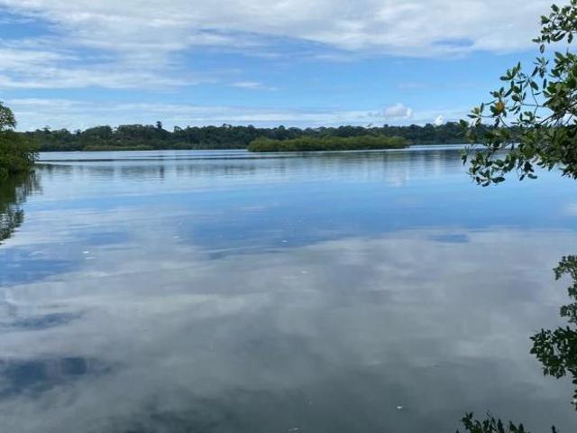Se vende finca en bahía honda, bocas del toro