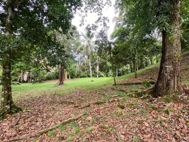 Se vende finca en bahía honda, bocas del toro