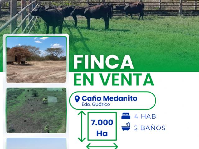 Finca en venta en Guárico