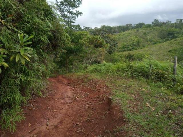 Se Vende Finca en Ciri de Los Sotos Capira Panama