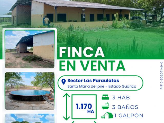 Finca en venta en Santa María de Ipire, Municipio Ipire