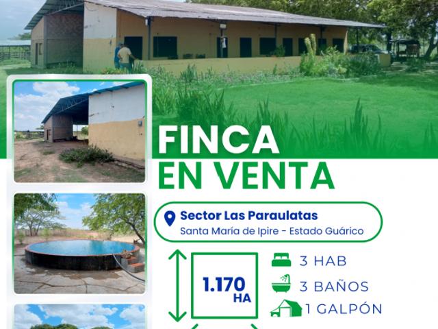 Finca en venta en Santa María De Ipire, Guárico