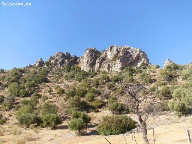 Local Comercial en venta en Sierra de Cádiz, Andalucía
