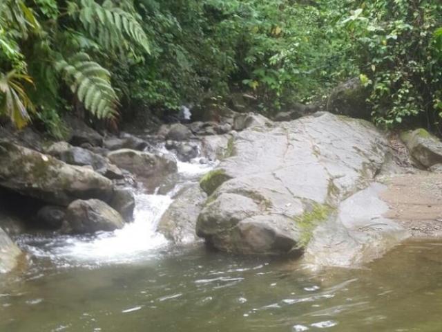 Se vende finca en el sector de las delicias arriba, changuinola