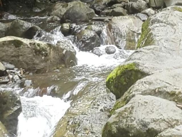 Se vende finca en el sector de las delicias arriba, changuinola