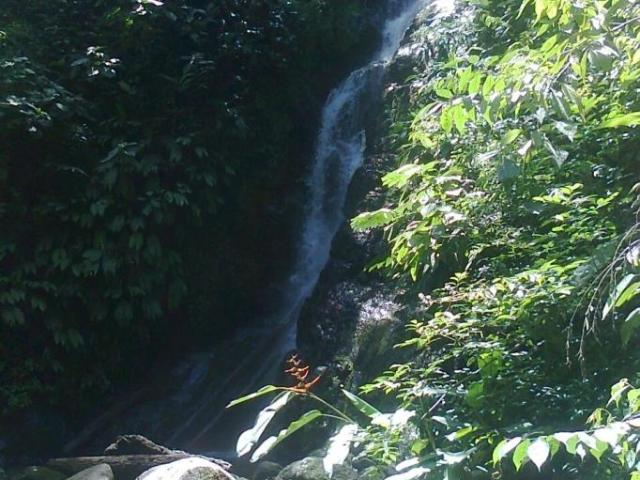 Se vende finca en el sector de las delicias arriba, changuinola