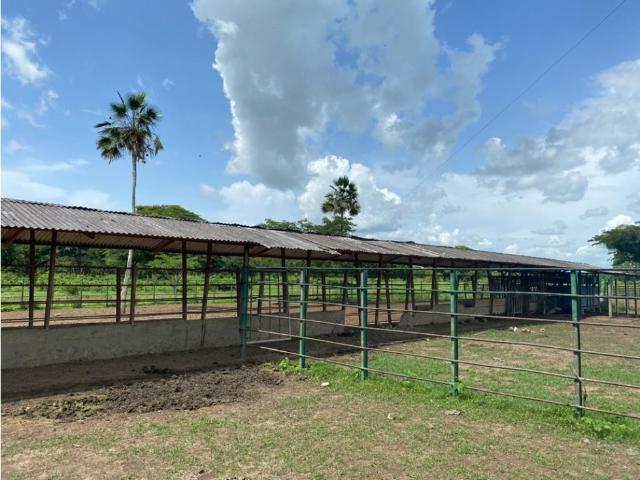Finca en venta en Barinas