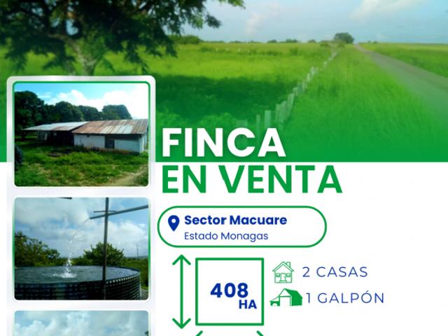 Finca en venta en Mata De Mata, Monagas