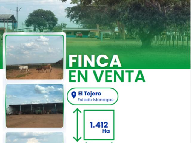 Finca en venta en Tejero, Monagas
