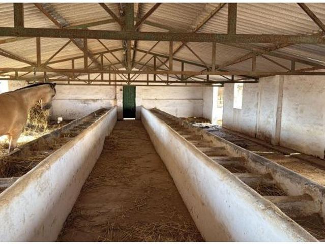 Local Comercial en venta en Entrerríos, Costa del Sol Occidental
