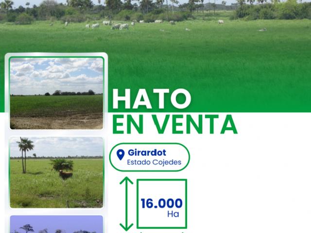 Finca en venta en San Carlos, Cojedes