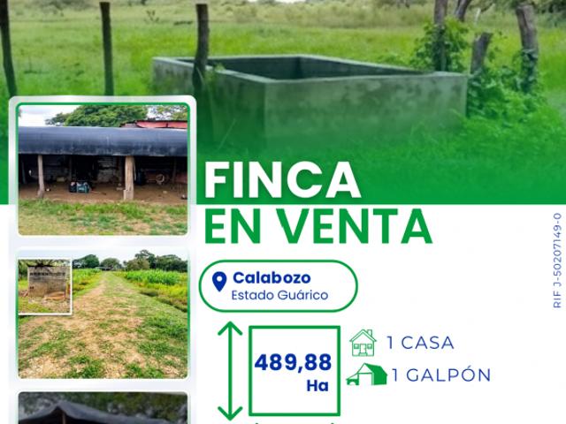 Finca en venta en Las Flores, Calabozo