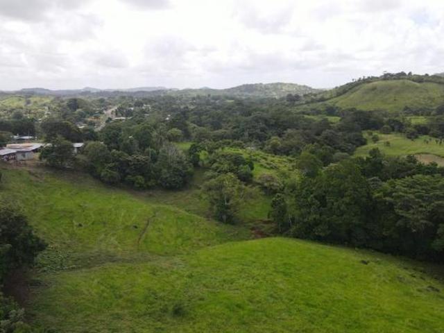 Se vende finca en La Chorrera, Panamá Oeste