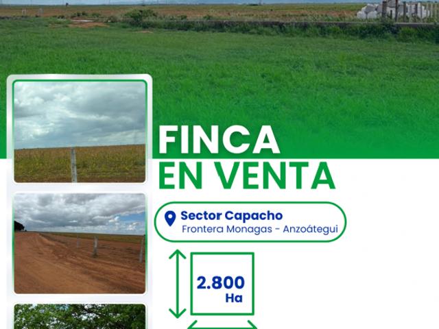 Finca en venta en Amazonas