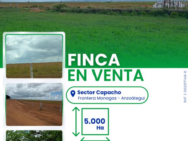 Finca en venta en Municipio Guanipa, Anzoátegui